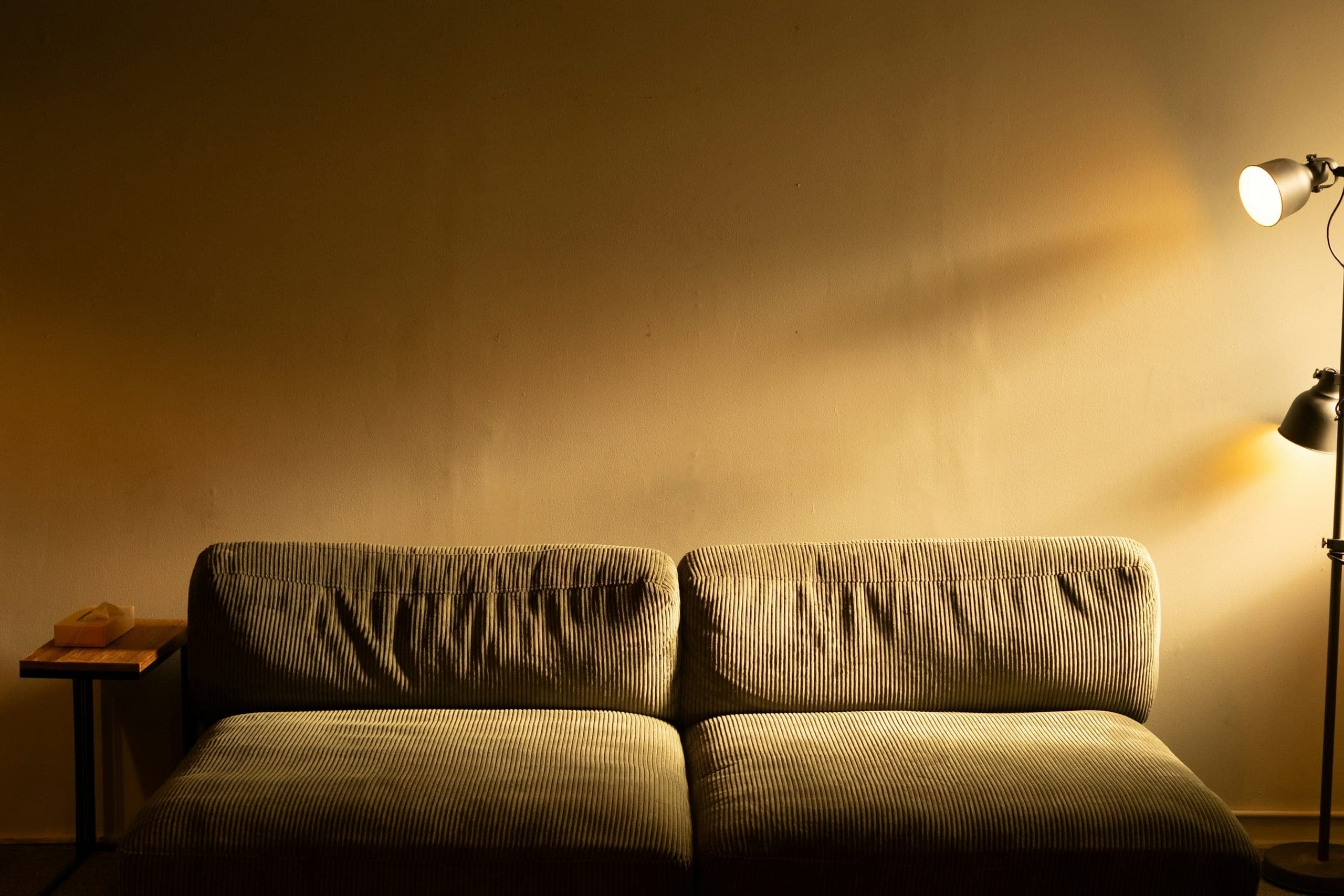 Warm evening light washing across a hand-finished plaster wall in a quiet, contemporary living room